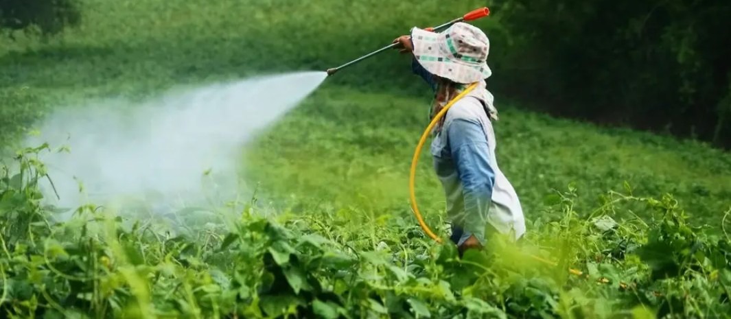 Team collaborating and discussing pesticide registration